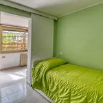 Daire Casa Edo